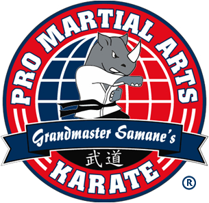 Pro Martial Arts Franchise Opportunities